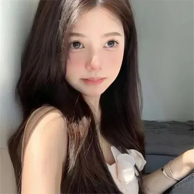 哈莱姆的郁金香